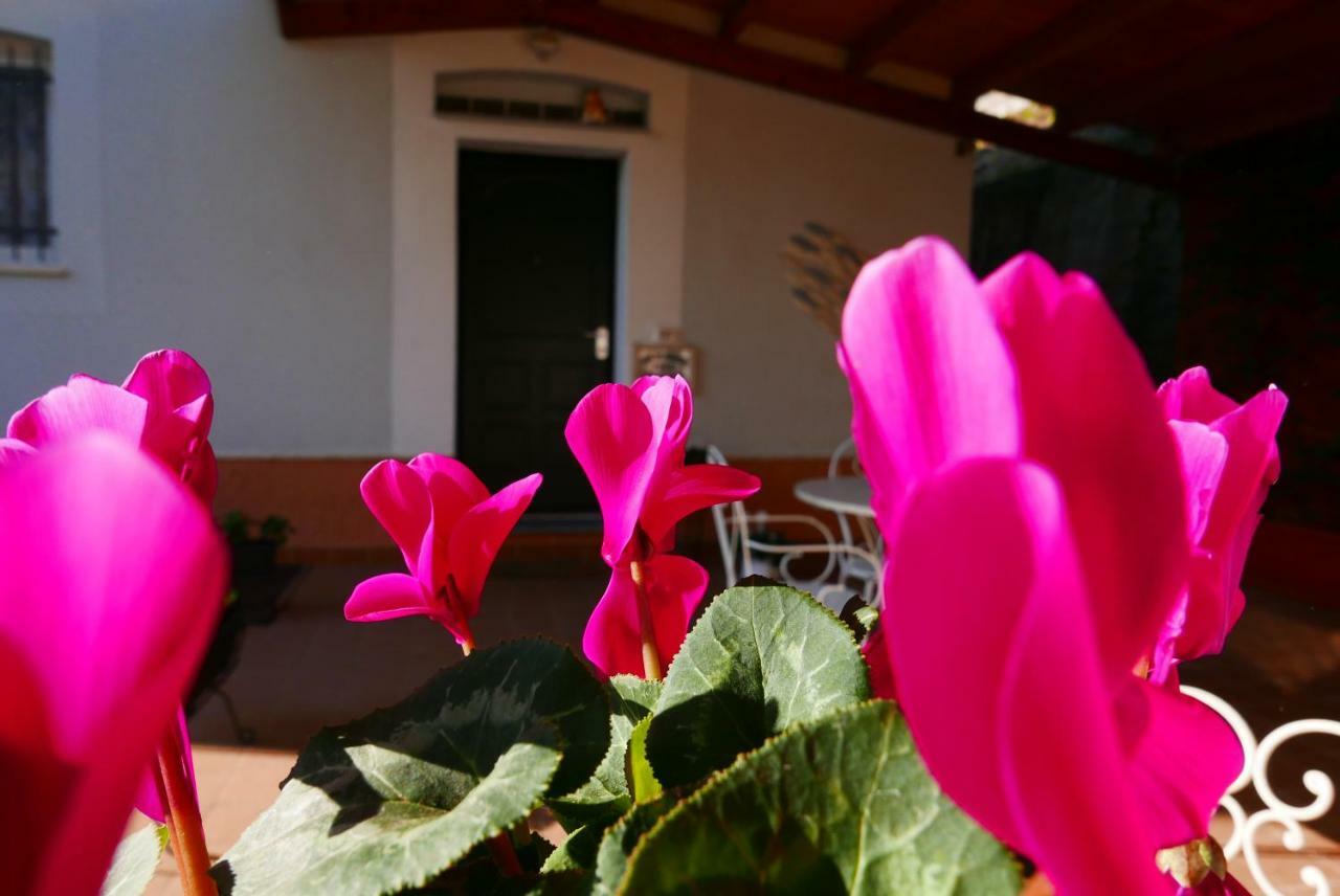 B&B Ai Tre Archi Spotorno Exteriér fotografie
